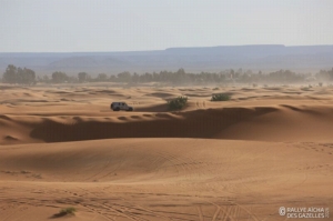 Équipage #114 - Image 6