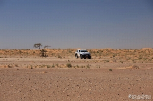 Équipage #116 - Image 4