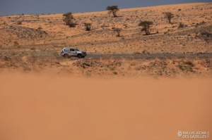 Équipage #117 - Image 4