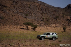 Équipage #121 - Image 8