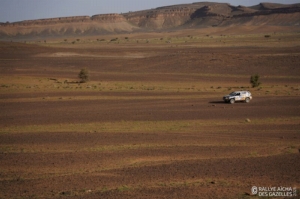 Équipage #123 - Image 7