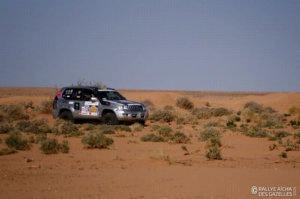 Équipage #134 - Image 5