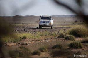 Équipage #134 - Image 6