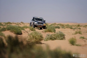 Équipage #135 - Image 5