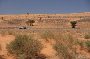 Équipage #147 - Image 4