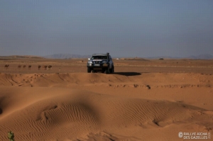 Équipage #147 - Image 5