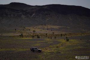 Équipage #147 - Image 8