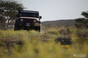 Équipage #151 - Image 8