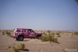 Équipage #174 - Image 5