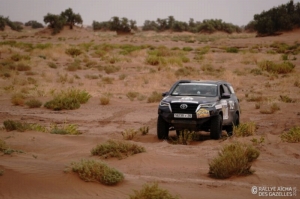 Équipage #177 - Image 8