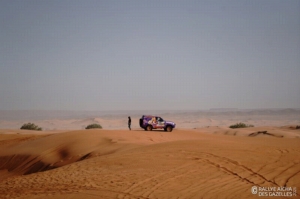 Équipage #183 - Image 6