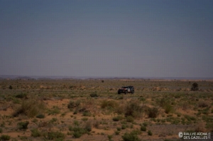 Équipage #186 - Image 4