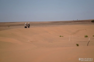 Équipage #197 - Image 4