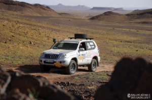 Équipage #203 - Image 8