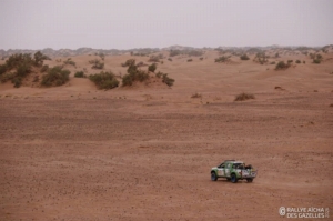 Équipage #205 - Image 9