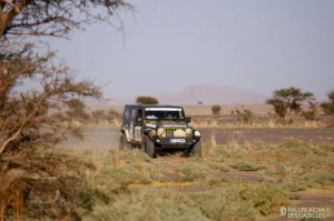 Équipage #216 - Image 9