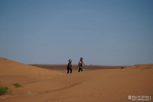 Équipage #217 - Image 5