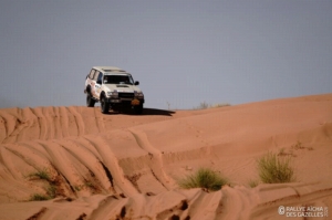 Équipage #226 - Image 6