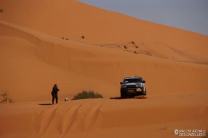 Équipage #230 - Image 6