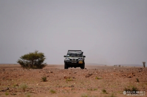 Équipage #234 - Image 8