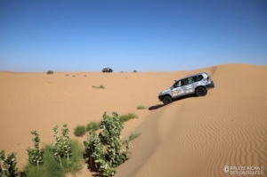 Équipage #235 - Image 6