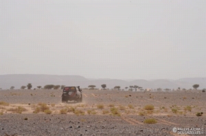 Équipage #236 - Image 9