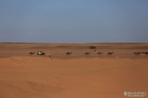 Équipage #239 - Image 4