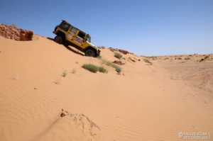 Équipage #239 - Image 6