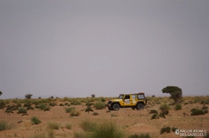 Équipage #239 - Image 7