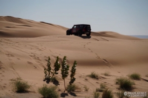 Équipage #242 - Image 4