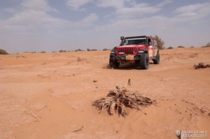 Équipage #242 - Image 8