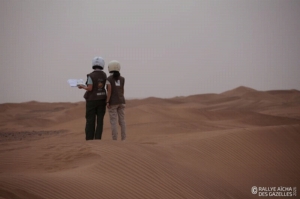 Équipage #244 - Image 9