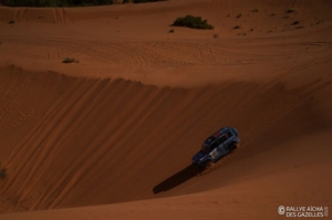 Équipage #252 - Image 5