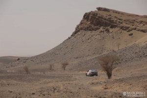 Équipage #301 - Image 5