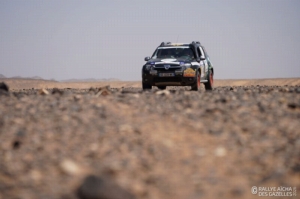 Équipage #306 - Image 4