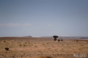 Équipage #35 - Image 3