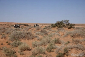 Équipage #35 - Image 6