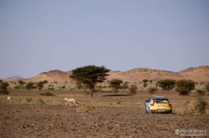 Équipage #603 - Image 7