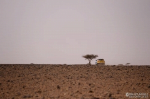 Équipage #603 - Image 8