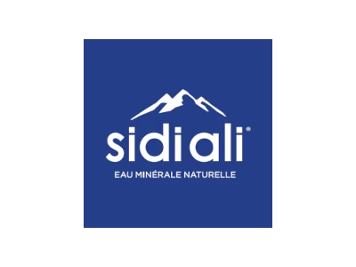 Sidi Ali