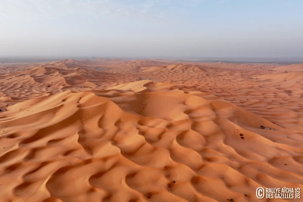 Face aux dunes