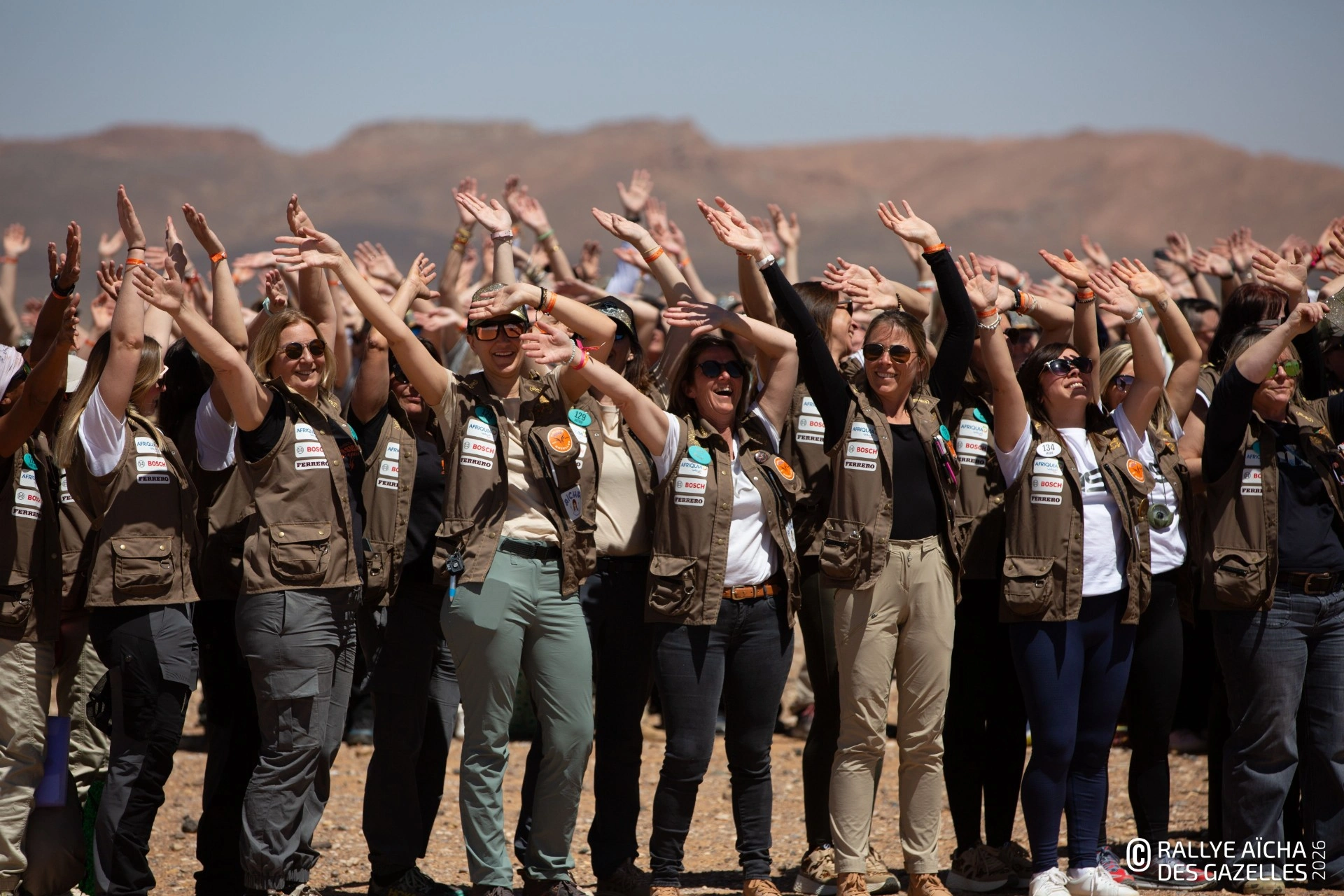 Gazelles aux quatre coins du monde